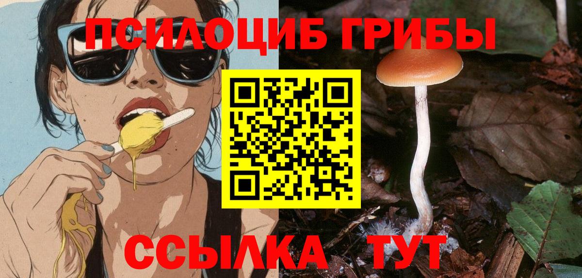Псилоцибиновые грибы прущие грибы  Вход с VPN  Борзя 
