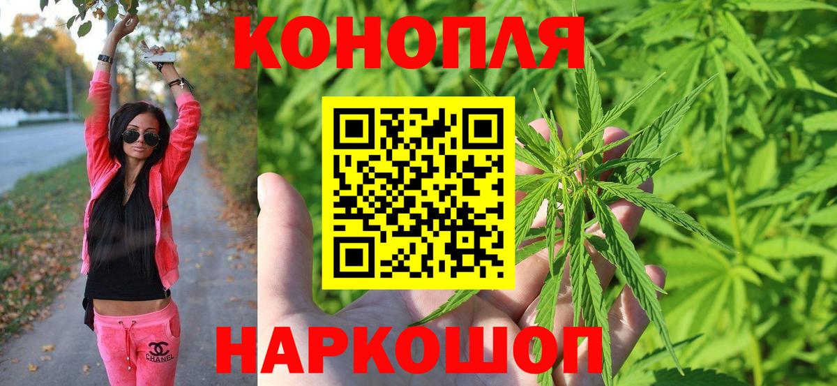 Бошки Шишки MAZAR Борзя